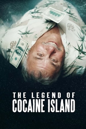The Legend of Cocaine Island (2019) Hindi Dubbed 720p Web-DL [860MB]