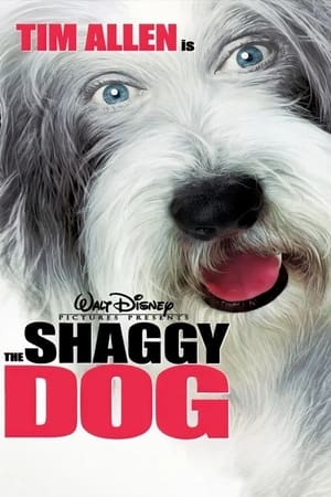 The Shaggy Dog (2006) Hindi Dual Audio 480p BluRay 300MB