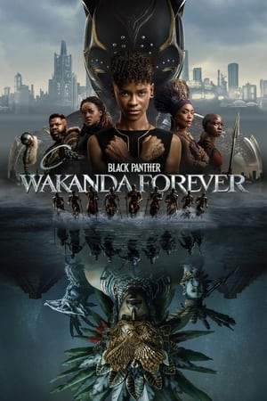 Black Panther: Wakanda Forever 2022 Hindi (ORG) Dual Audio BluRay 720p – 480p